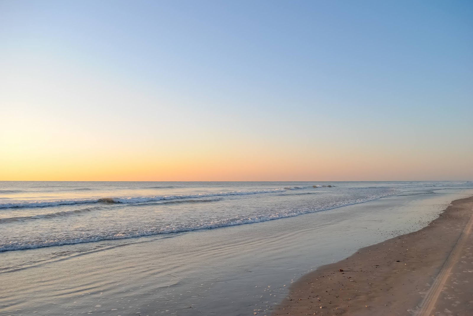 Florida Atlantic Shores