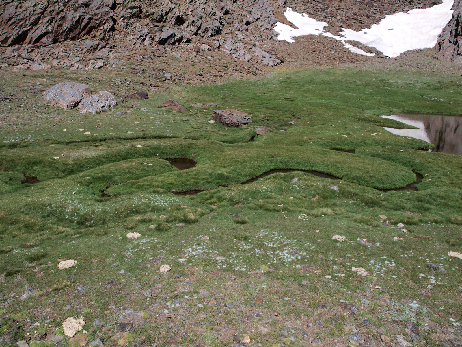 Caminando por Sierras y Calles de Andaluc\u00eda: P\u00falpito y laguna de Las ...