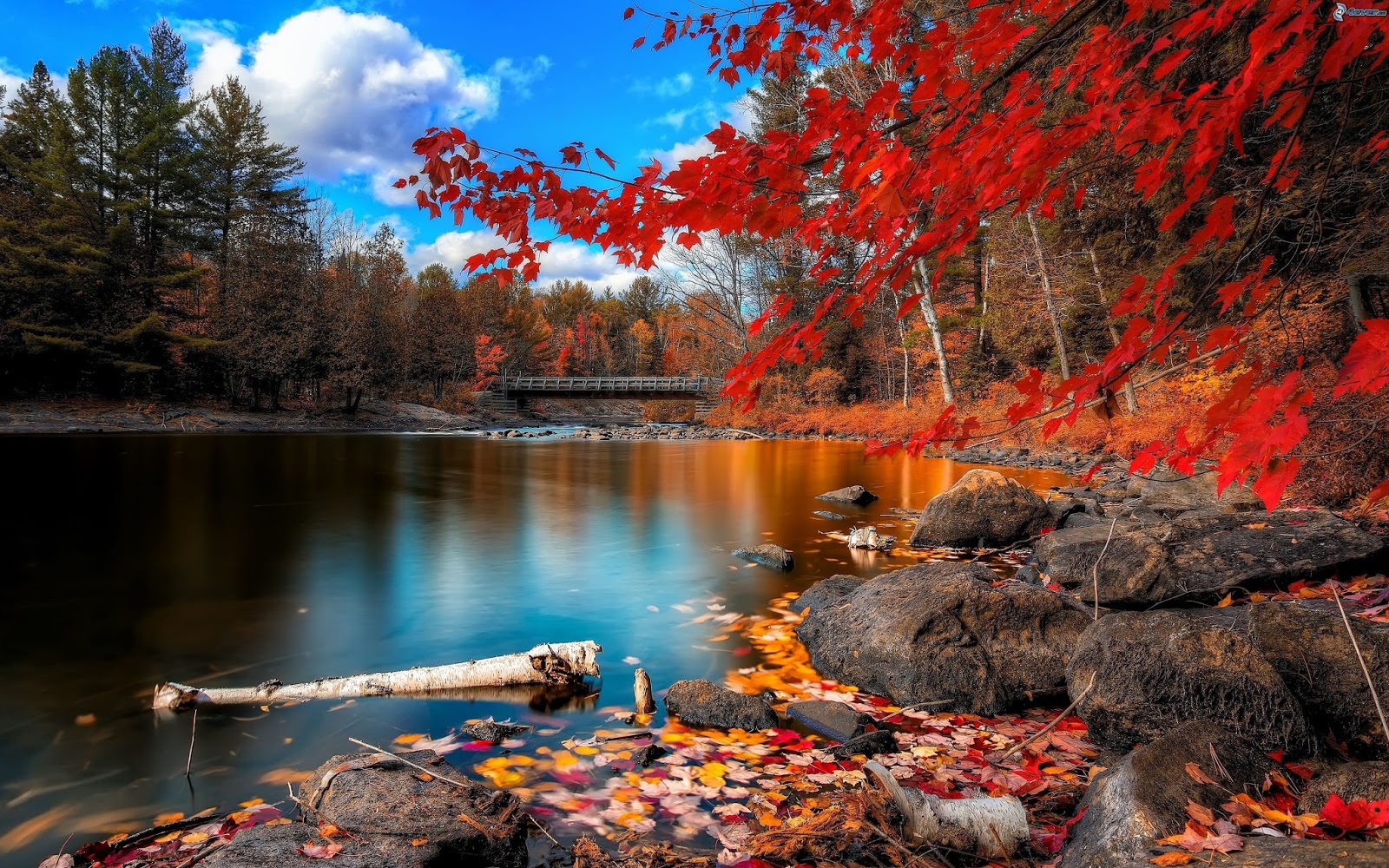 Fond d�écran automne hd gratuit Fond d�écran hd