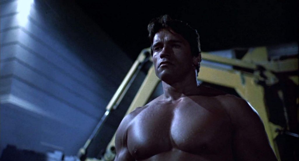 Schwarzenegger, Eddie Murphy e Danny DeVito podem ser irmãos em filme –  Vírgula