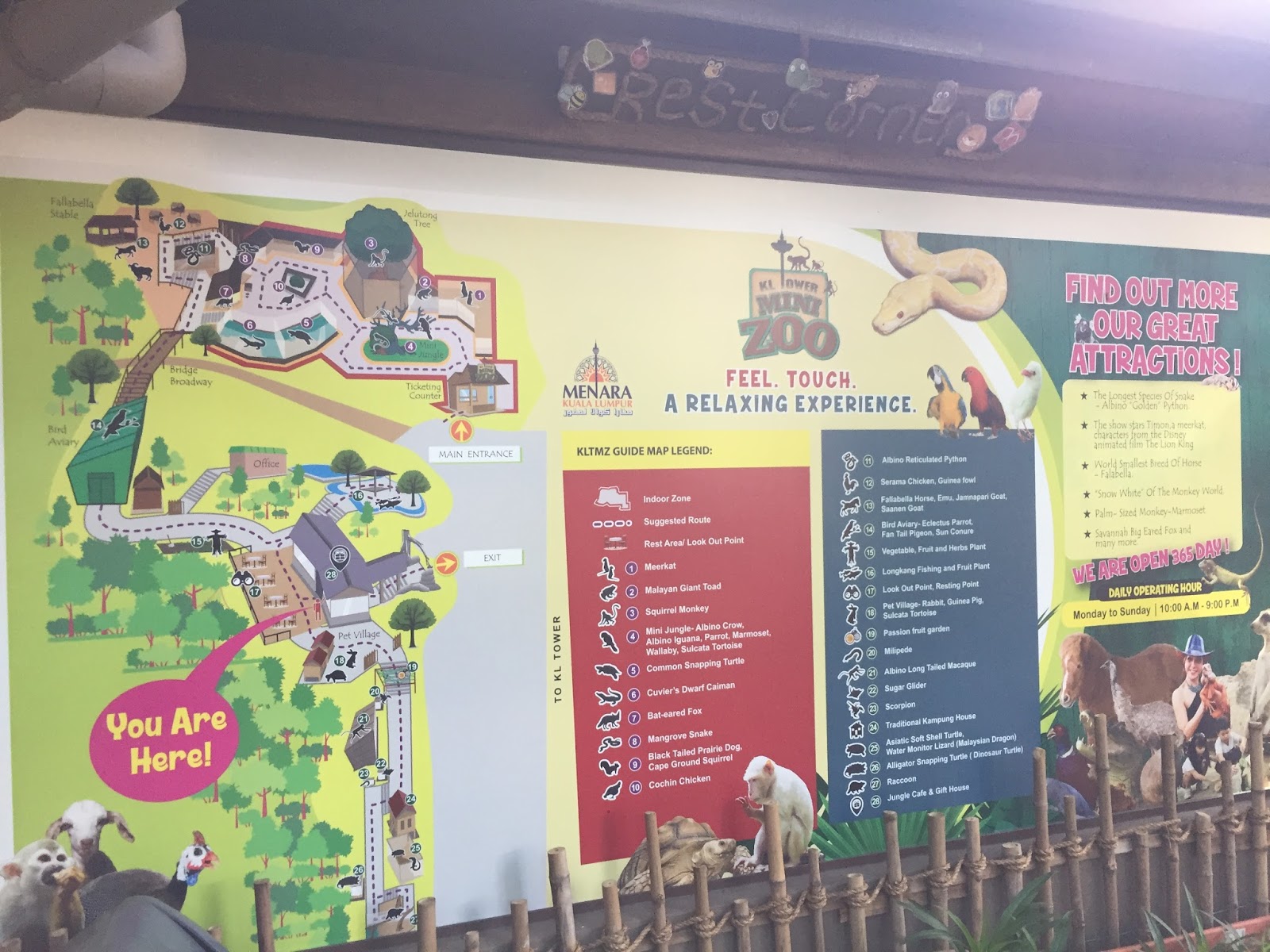 Really Nice Mini Zoo Review Of Kl Tower Mini Zoo Kuala Lumpur Malaysia Tripadvisor