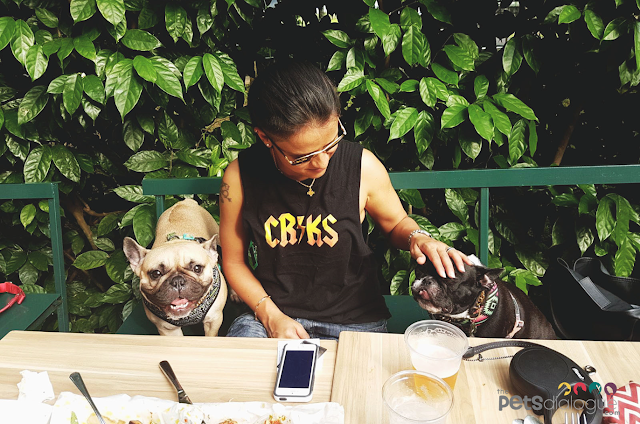 Pug life Singapore