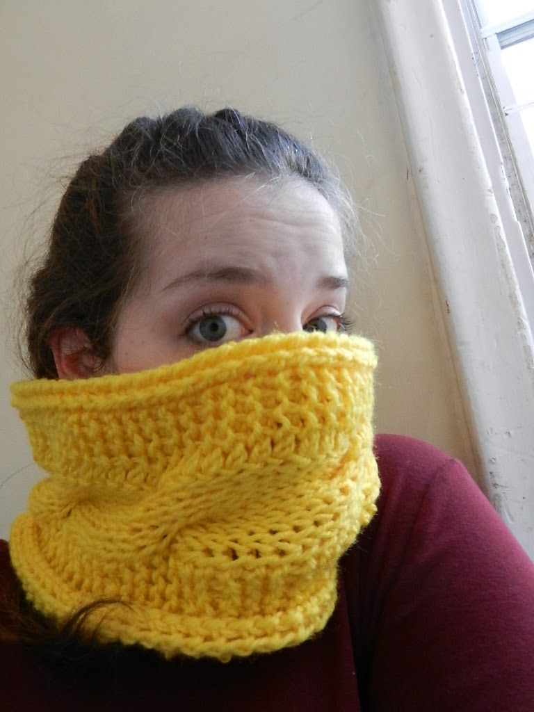 Designs by Diligence Super Chunky Twisty Neck Warmer