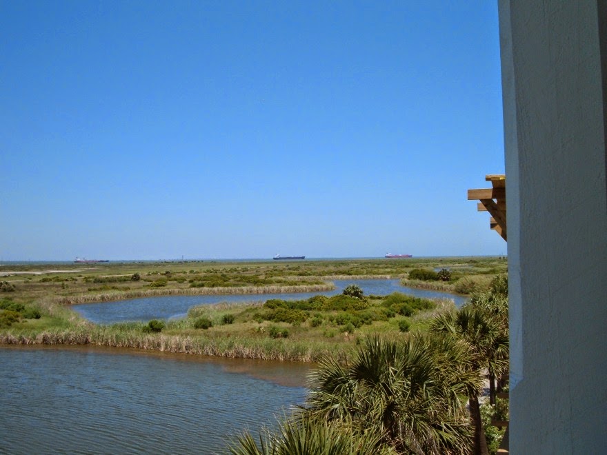 DayDreamnWorld "Y" as in Galveston YARDS