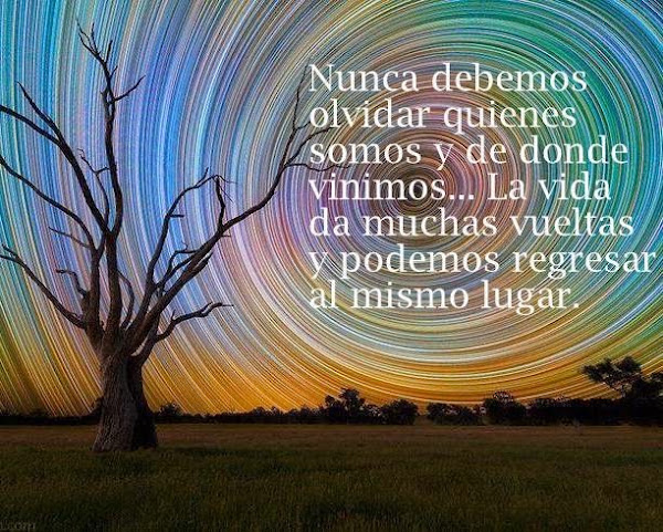 Imagen 0