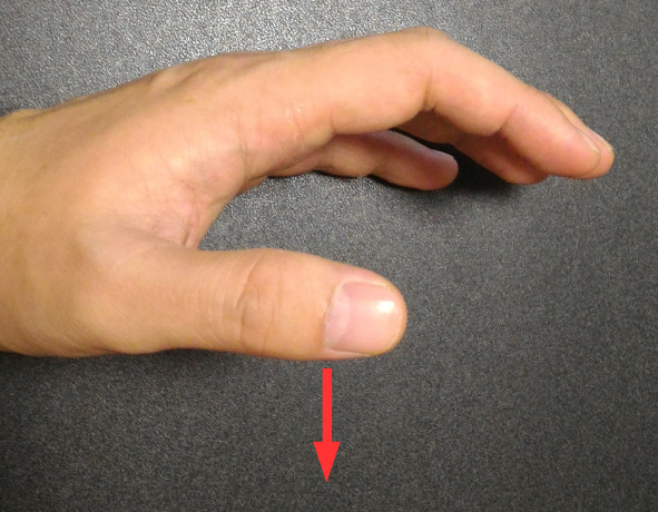 『フリーダム イズ ブルー』では、女性が家族の死と向き合います。