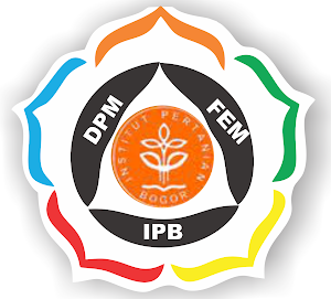 DPM FEM IPB