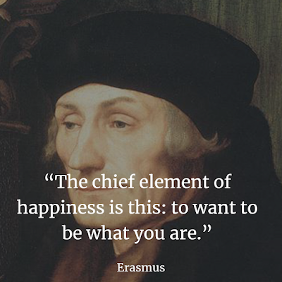 Best Erasmus quotes