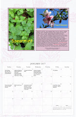 2017 Desert Gardening Wall Calendar