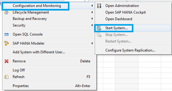 How to start SAP HANA