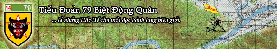 Tiểu Đoàn 79 Biệt Động Quân