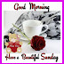 Top 10 Good Morning Sunday Images,greeting, Pictures, Photos, for whatsapp-bestwishpics