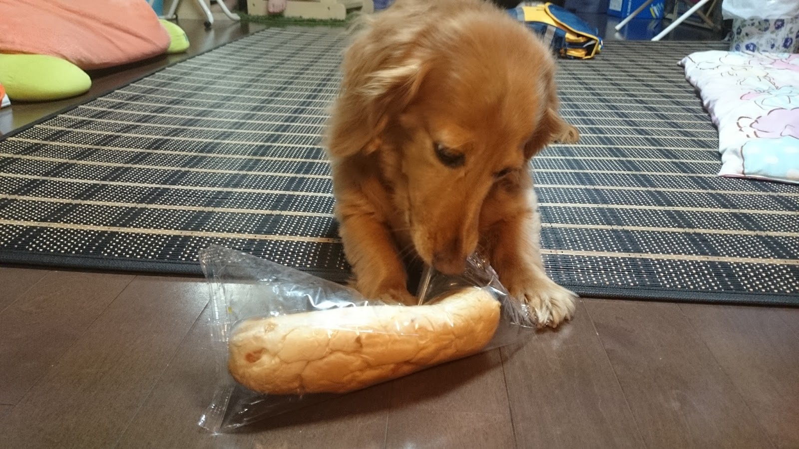 つれづれちょう キャロットパンがお気に入り。