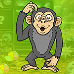 Games4King - G4K Muddled Monkey Escape Game