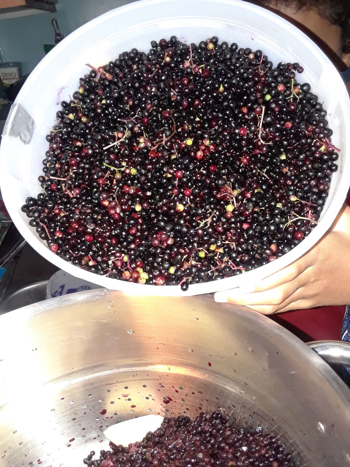 How To Make Elderberry Juice