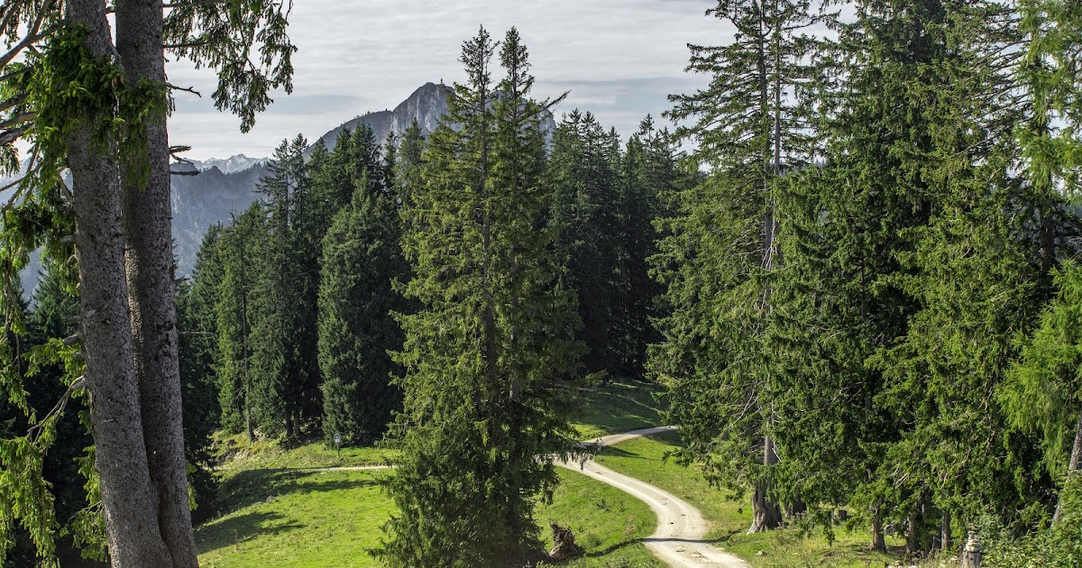 Explore Fietsen Spoorwegen De Camper Alltrails