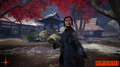 Arashi Castles Of Sin Game Screenshot 4