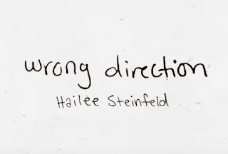 terjemahan lirik lagu wrong direction hailee steinfeld
