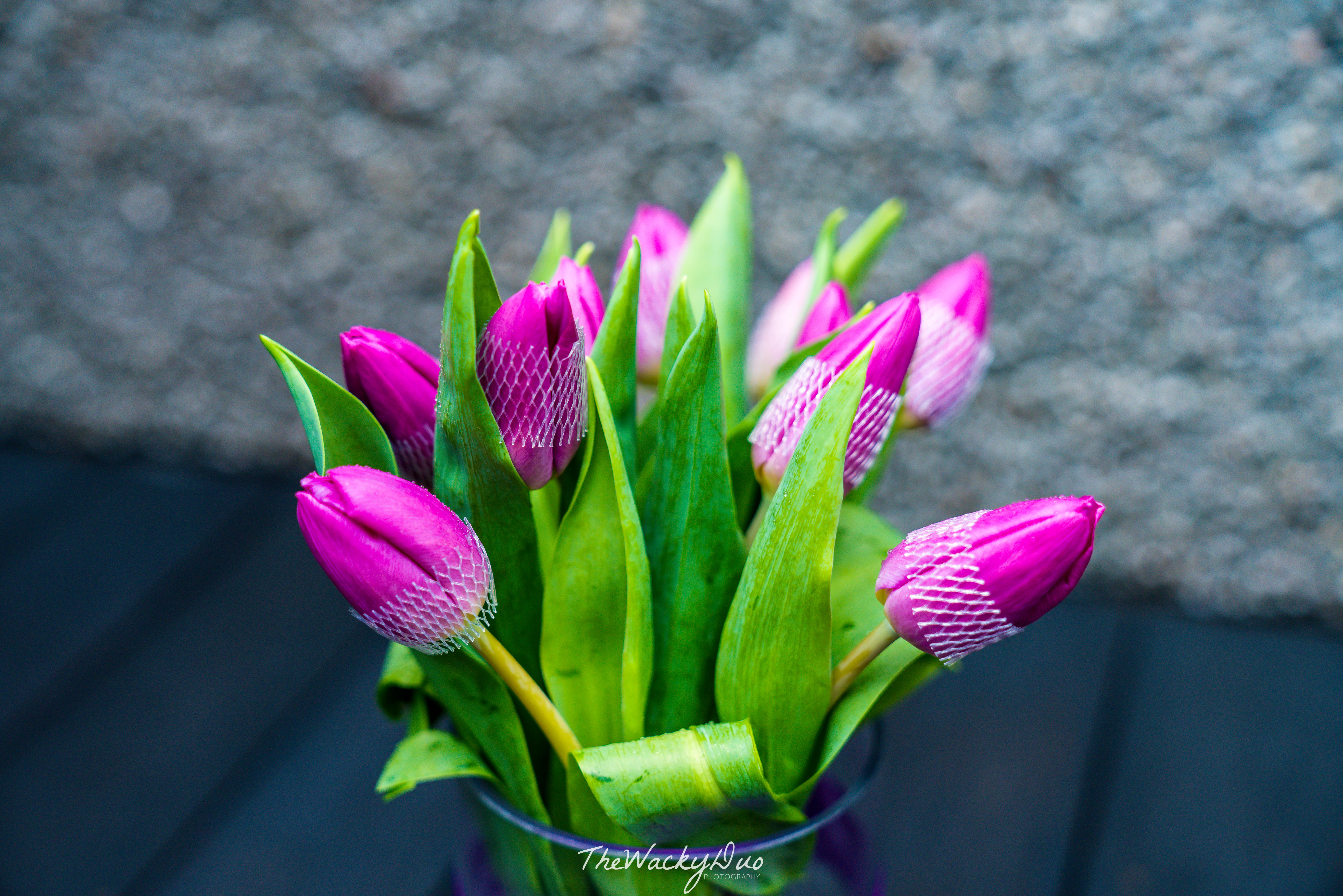 Ferns N Petals Review Gifts for Father's Day