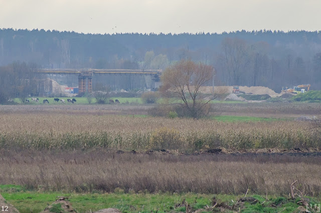 Droga ekspresowa S5 Szubin Żnin Bydgoszcz