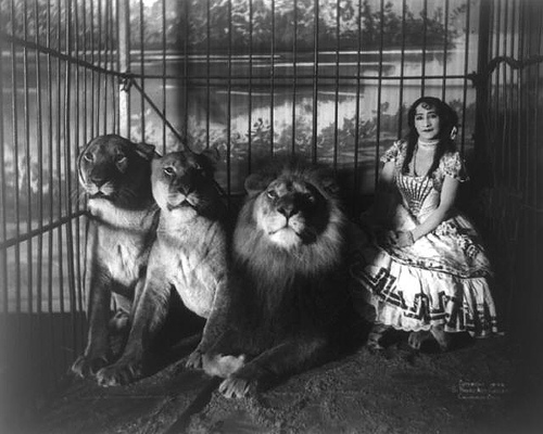 Image result for victorian circus poster