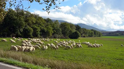 Cycling Amiata, Orcia and Brunello di Montalcino wine roads