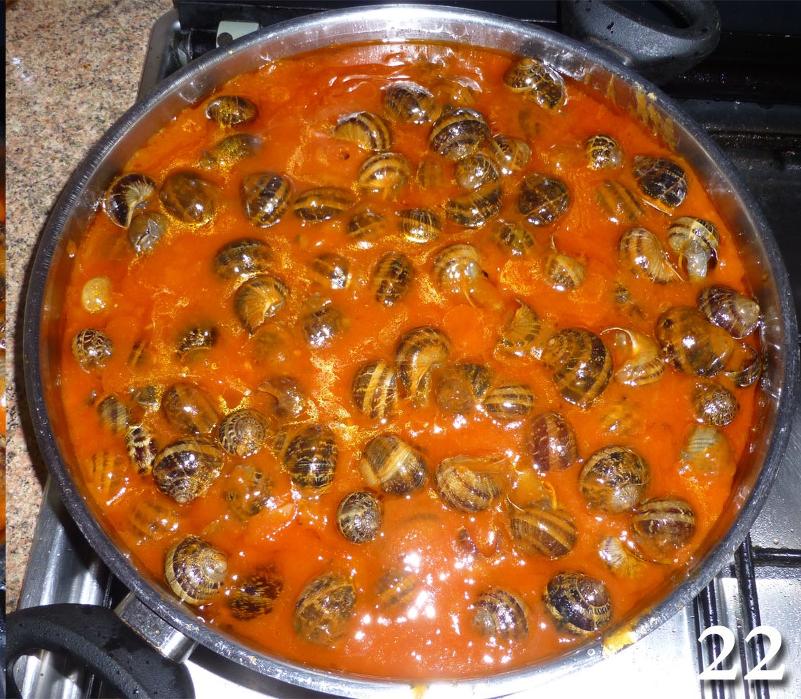 Resultado de imagen de caracoles con tomate.