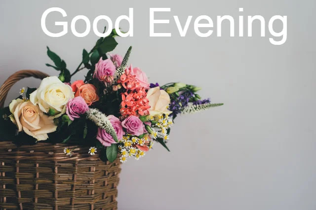 Good Evening Images Good Evening Images