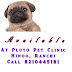 Do you really want to get a Pug!! Here is one for you in Ranchi!
