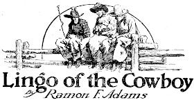 Lingo of the cowboy  - Ramon F. Adams in Western Story Magazine December 15, 1923