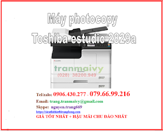 TBVP Trần Mai Vy