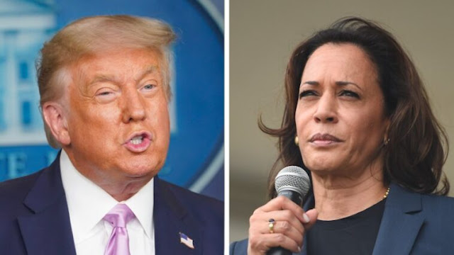 New Poll Reveals Who Would Win Between Trump And Kamala Harris in 2024 New Poll Reveals Who Would Win Between Trump And Kamala Harris in 2024