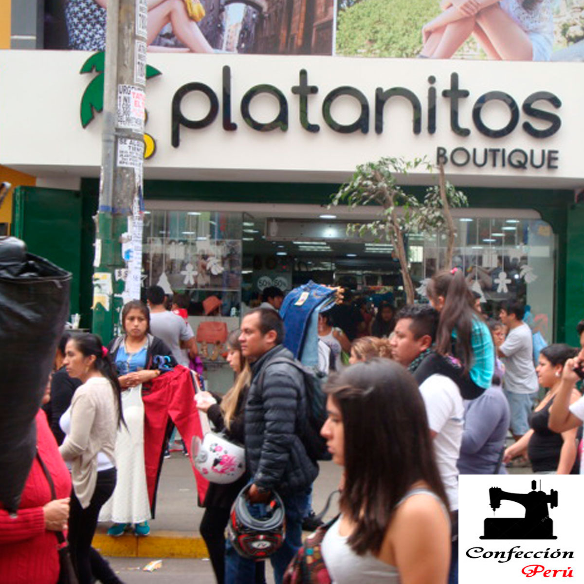 Platanitos gamarra Clearance