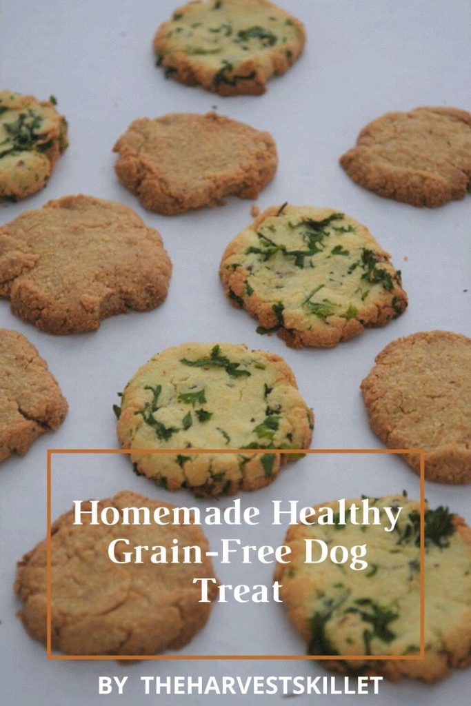 Top 10 Homemade Grain Free Dog Treat Recipes