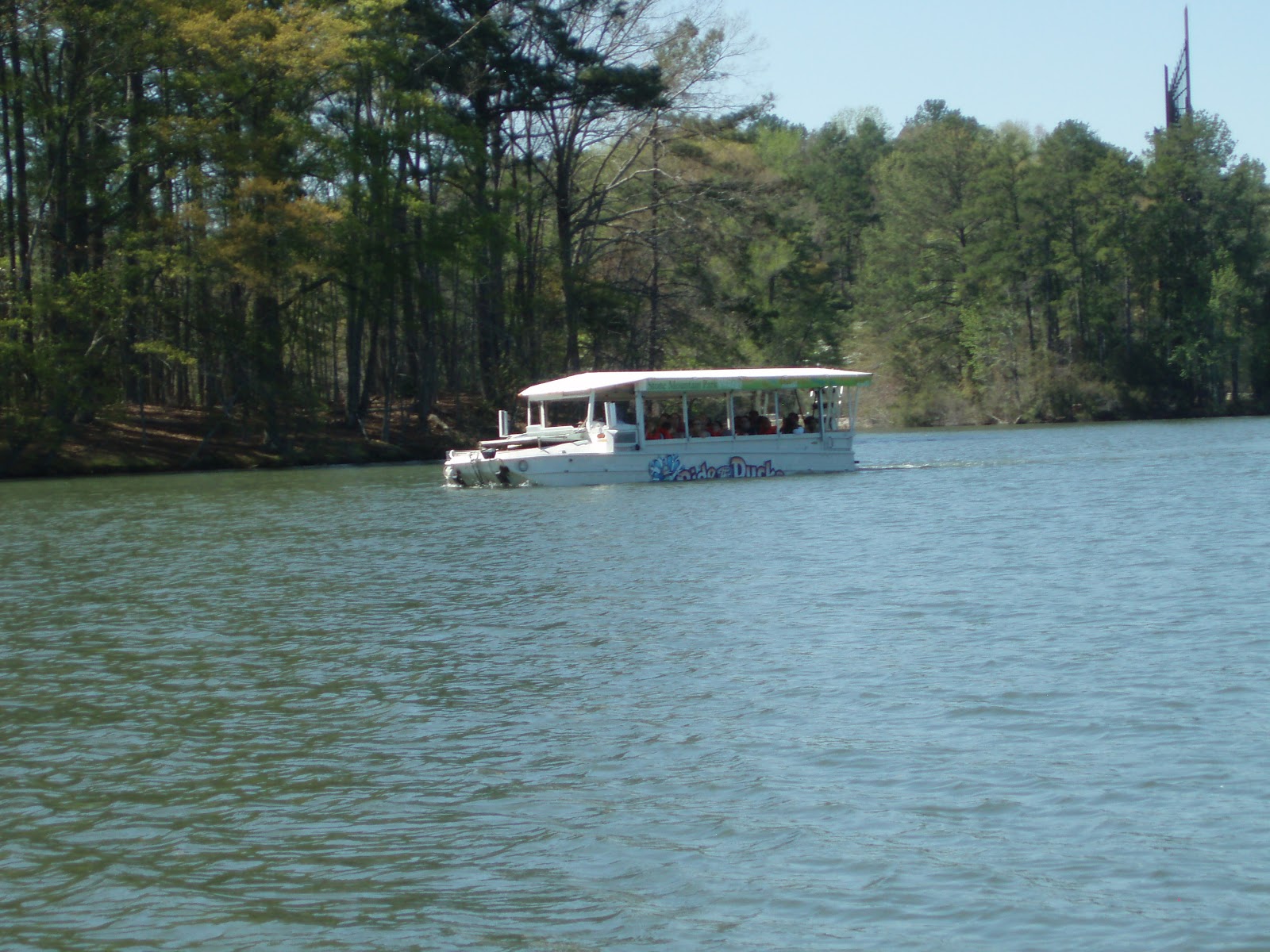 Bessy's Adventures Stone Mountain Park and Doggie Daycare!