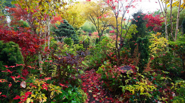 drelis gardens four seasons garden