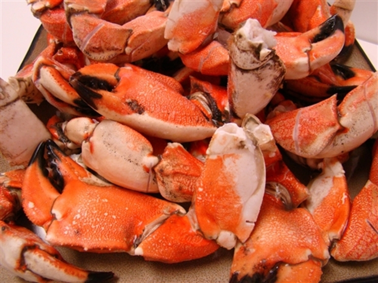Crab Meat Supplier, Crab Canning Factory, Crab Farming, Crab Meat From