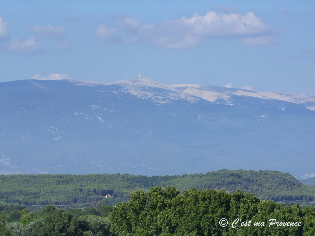 C'est ma Provence: Vaucluse : Un voyage au coeur de la Provence 
