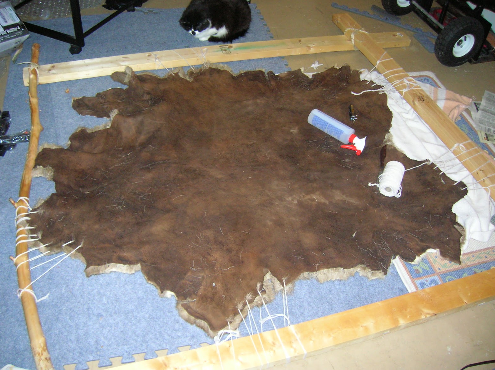Musings of Musang: Softening the bark tanned deer hide
