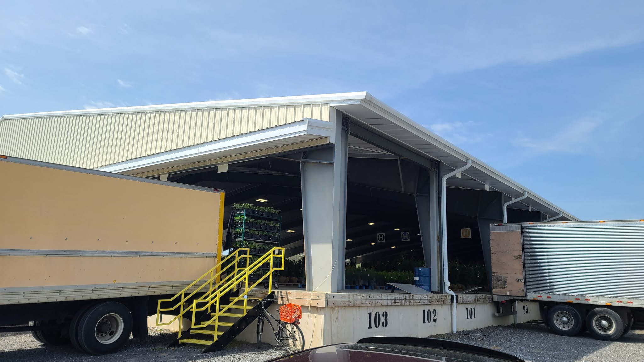 Valley Girl Views Buffalo Valley Produce Auction Where Farmers