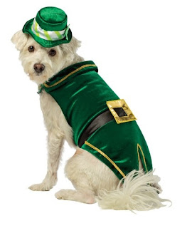 Luxury Dog Luxury Dog