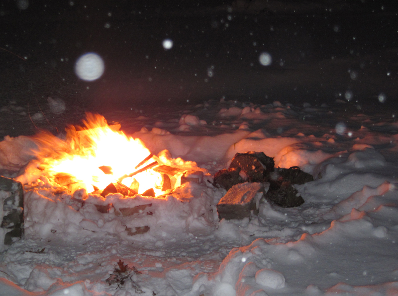 The MEdelman Firewood According To Oy