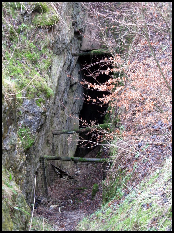 Paul Lydon: A Walk Along Lathkill Dale and Cales Dale