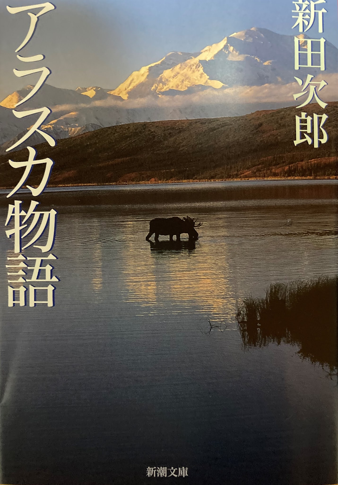 山形SC所長の山桜庵