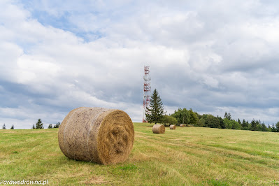 Łysa Góra, okolice wierzchołka