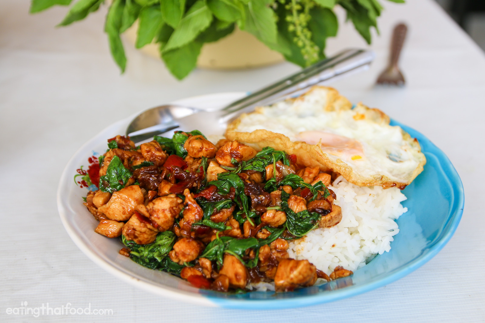 Recipe Authentic Pad Krapow Thai Basil Chicken Travel Eat Love recipe-authentic-pad-krapow-thai-basil-chicken-travel-eat-love