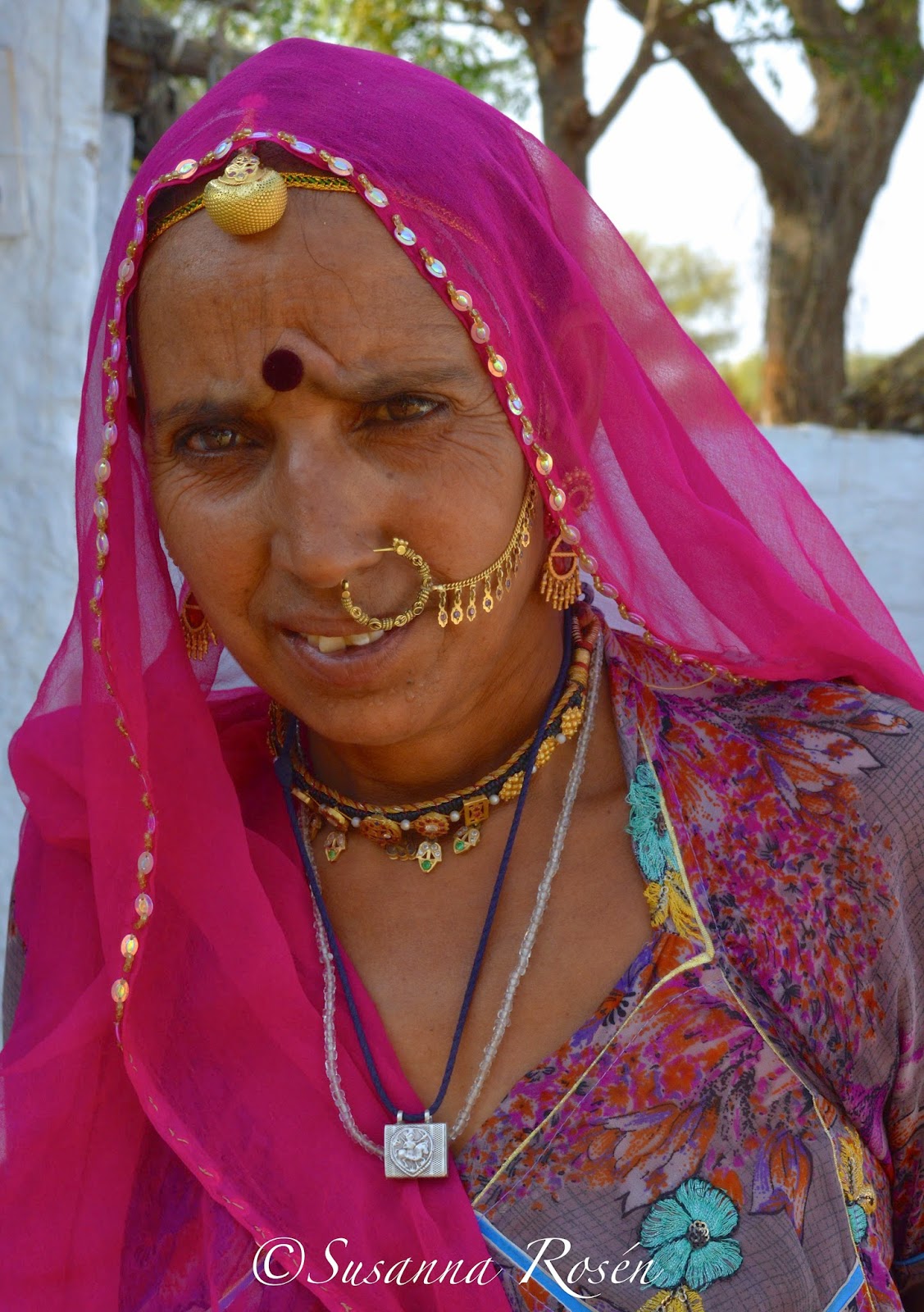 The House of Susanna / my life in India : The Bishnoi tribe welcomed us ...