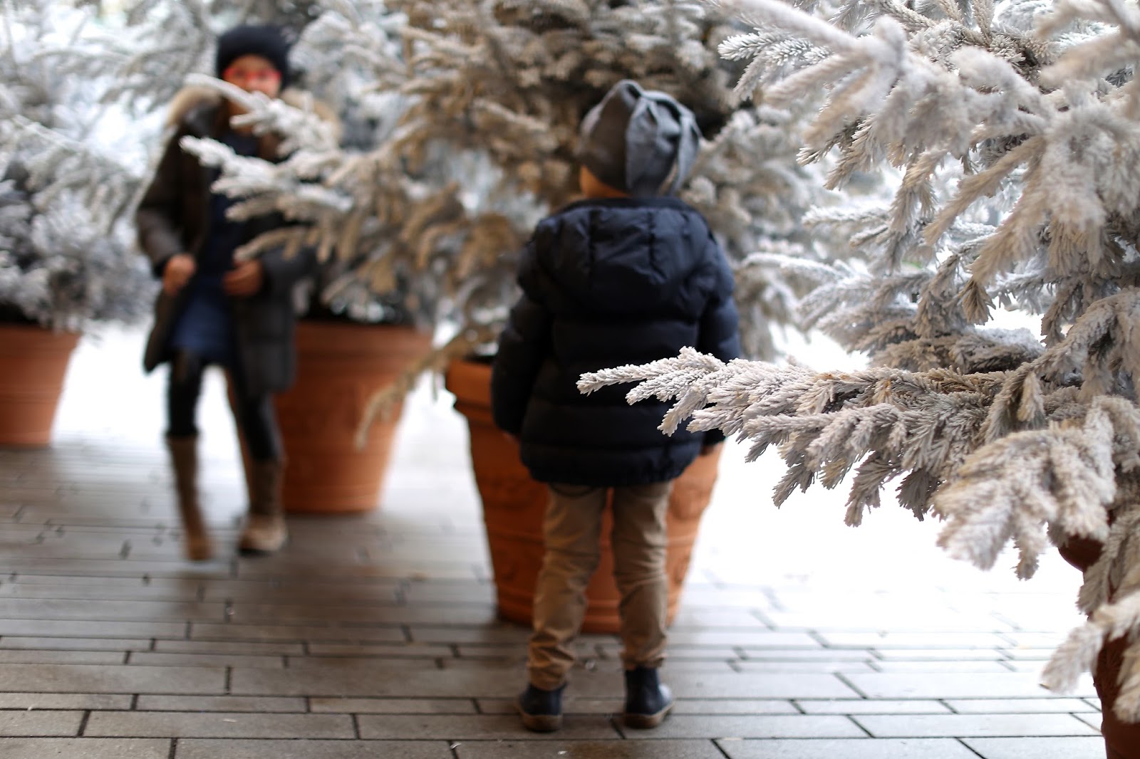 Grundschultante Gedicht Des Monats