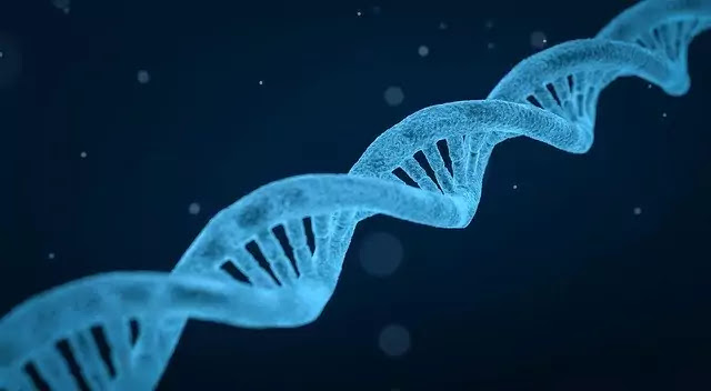 dna