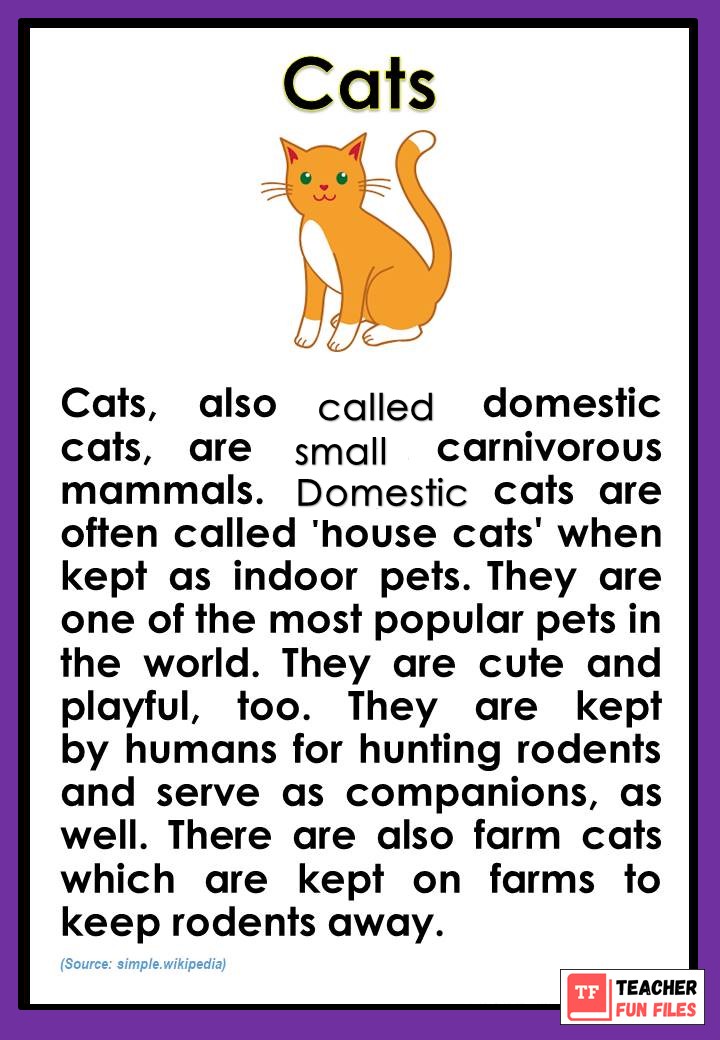 10 FACTS ABOUT ANIMALS FOR KIDS PDF visual data 8